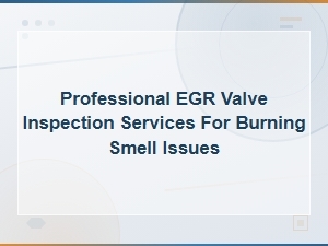 Professional Egr Valve Inspection Services for Burning Smell Issues