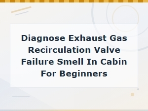 How to Diagnose Egr Valve Failure Causing Smell in the Cabin: a Beginner's Guide