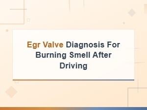 Step-By-Step Egr Valve Diagnosis for Burning Smell After Driving