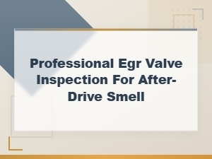 Professional Egr Valve Inspection for After-Drive Smell: Step-by-Step Diagnosis Guide